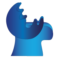 BlueCaribu logo